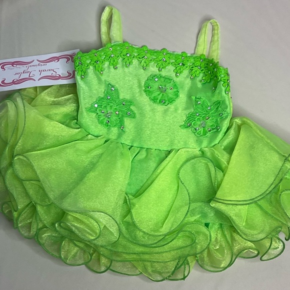 Little girls dress/ pageant dress/ cupcake skirt - Picture 1 of 8